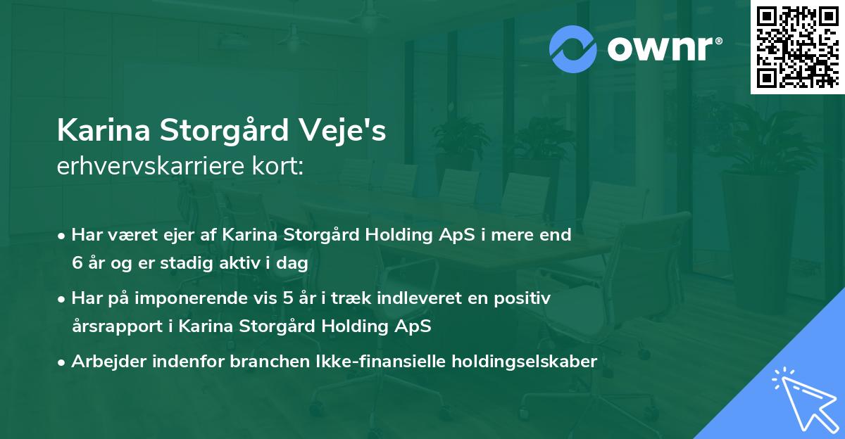 Karina Storgård Veje's erhvervskarriere kort