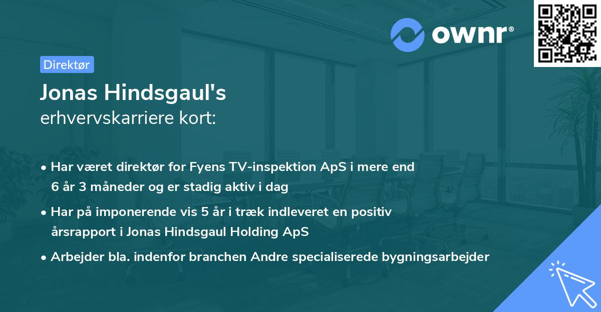 Jonas Hindsgaul's erhvervskarriere kort