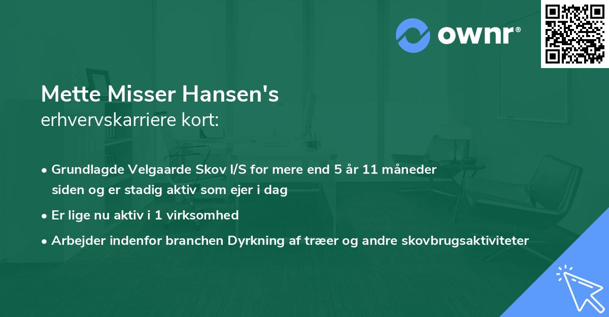 Mette Misser Hansen's erhvervskarriere kort