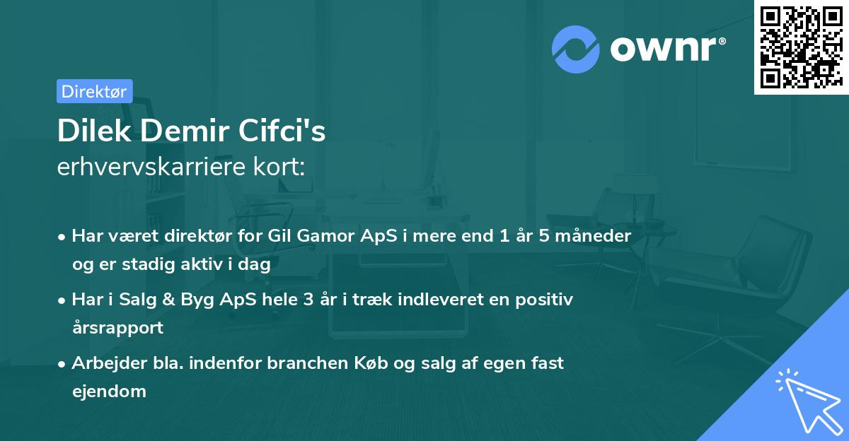 Dilek Demir Cifci's erhvervskarriere kort