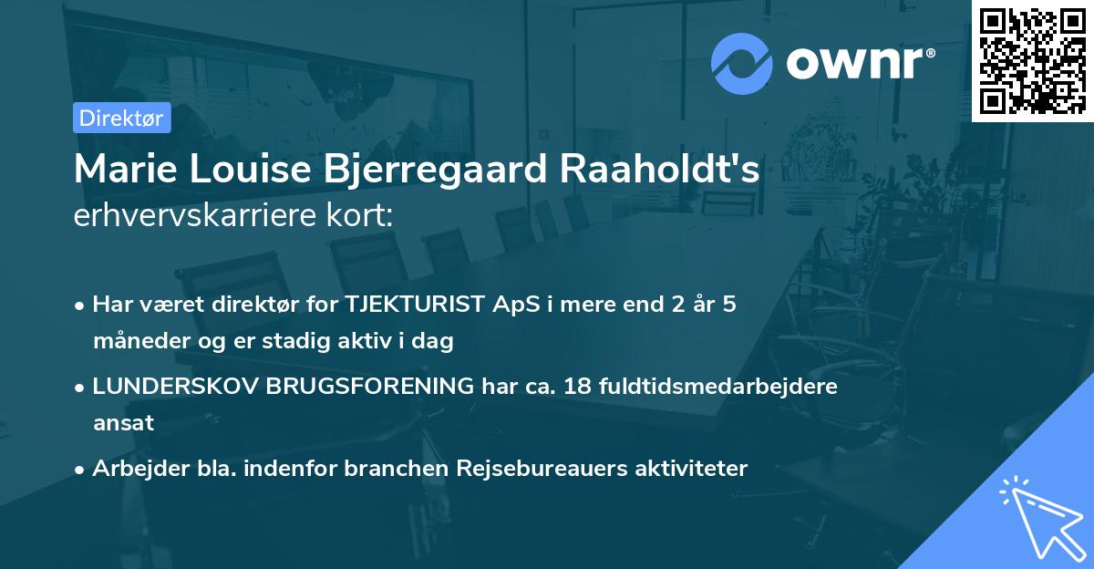 Marie Louise Bjerregaard Raaholdt's erhvervskarriere kort