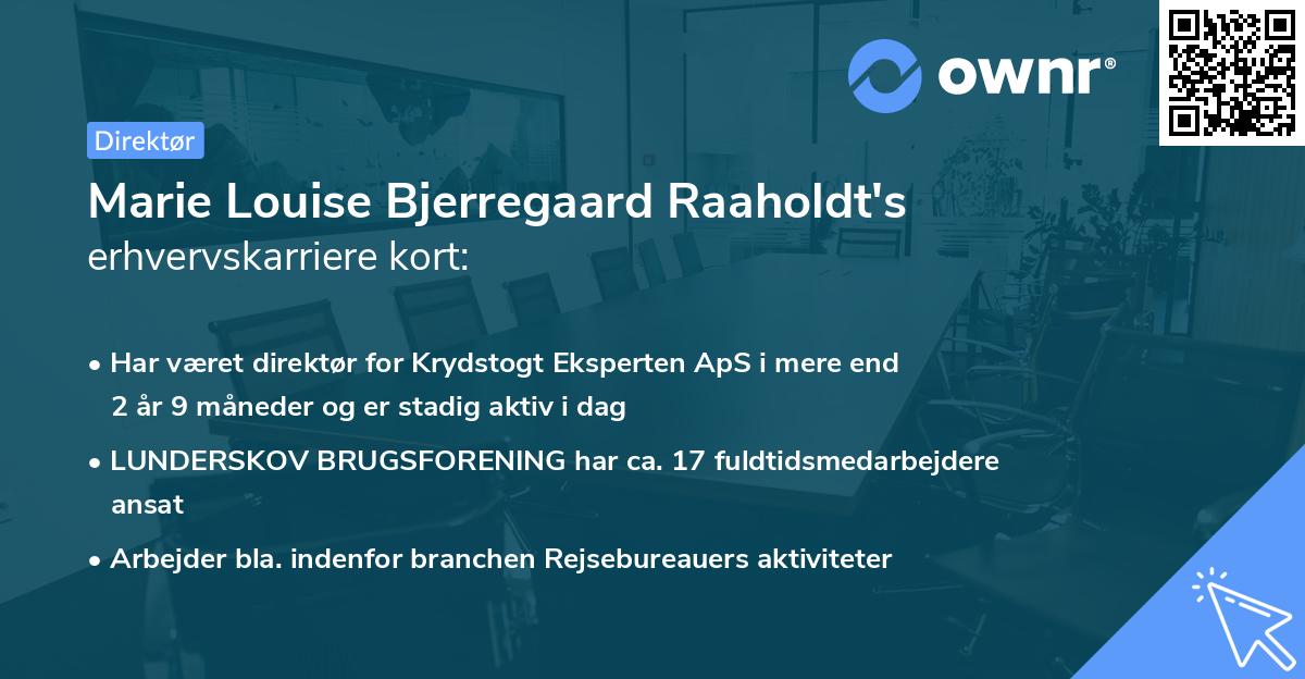 Marie Louise Bjerregaard Raaholdt's erhvervskarriere kort