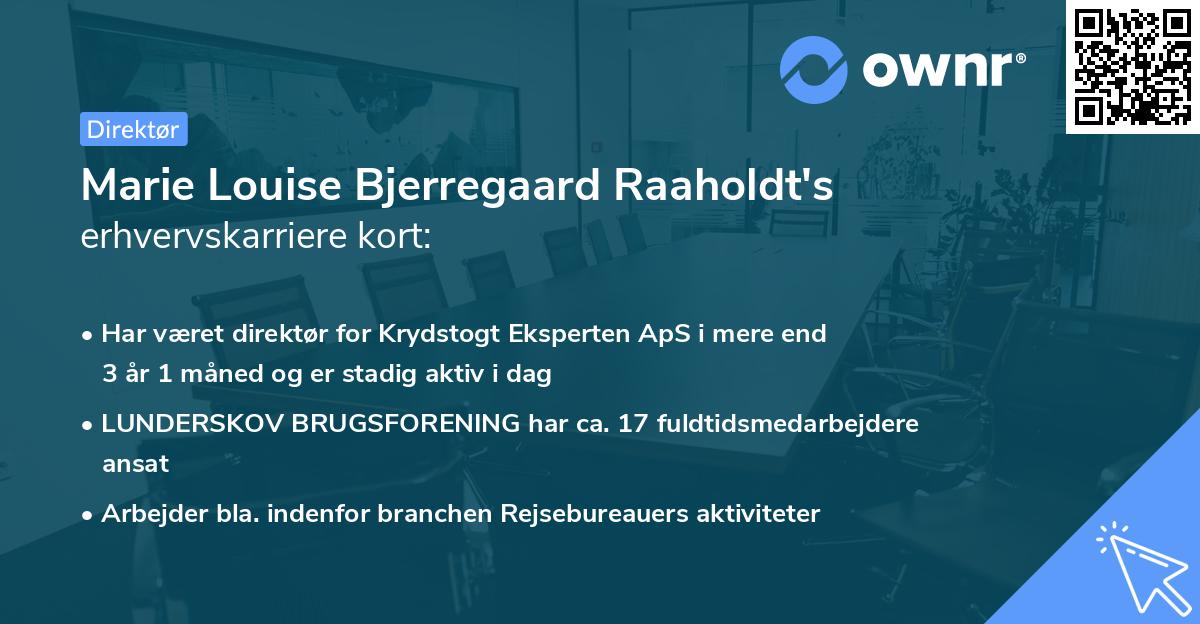 Marie Louise Bjerregaard Raaholdt's erhvervskarriere kort