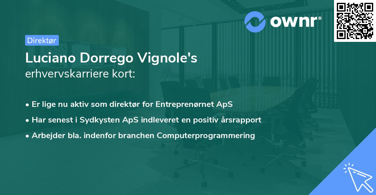 Luciano Dorrego Vignole's erhvervskarriere kort