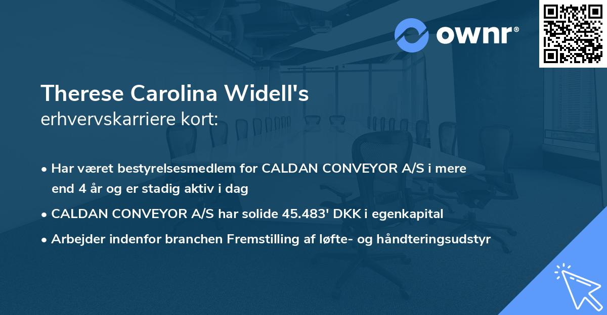 Therese Carolina Widell's erhvervskarriere kort