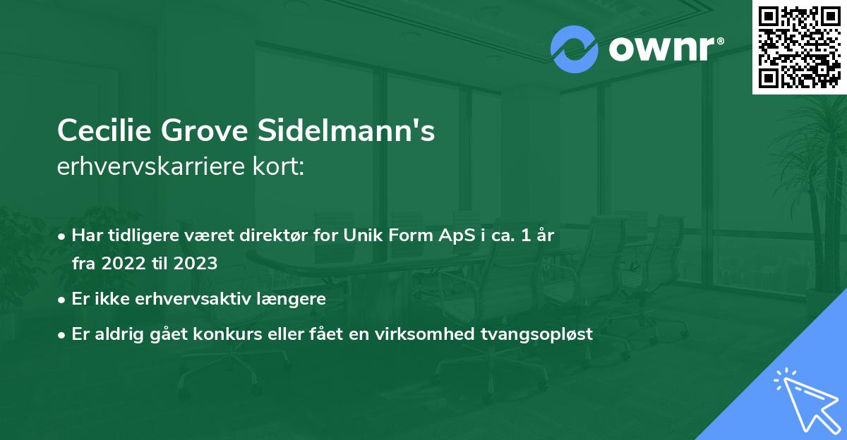 Cecilie Grove Sidelmann's erhvervskarriere kort