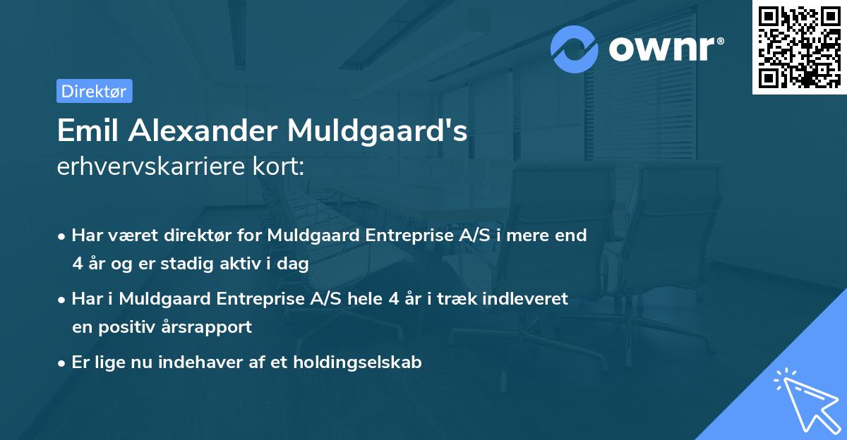 Emil Alexander Muldgaard's erhvervskarriere kort