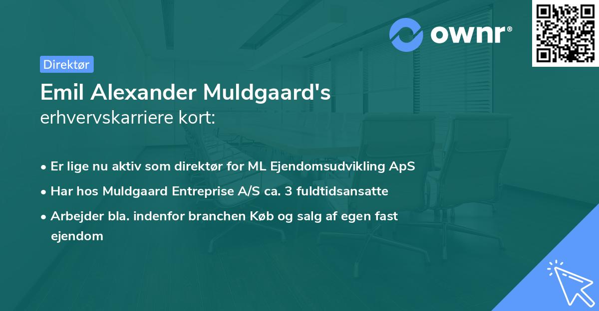 Emil Alexander Muldgaard's erhvervskarriere kort