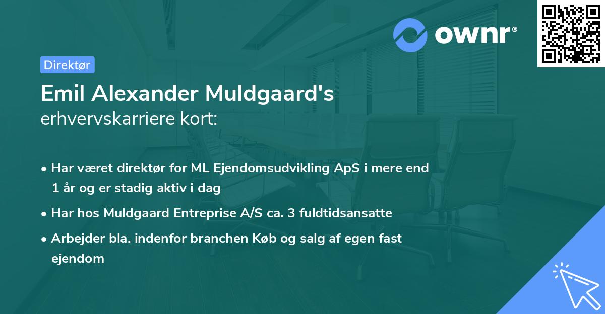 Emil Alexander Muldgaard's erhvervskarriere kort