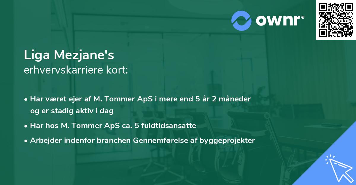 Liga Mezjane's erhvervskarriere kort