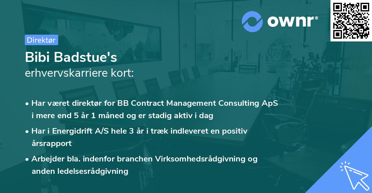 Bibi Badstue's erhvervskarriere kort