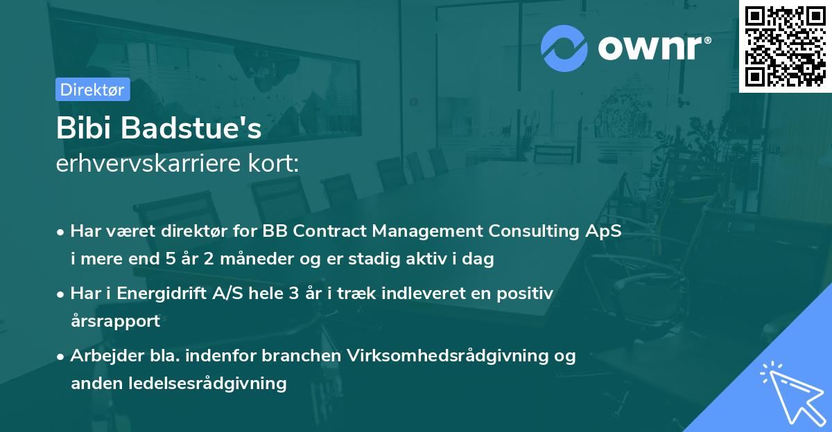 Bibi Badstue's erhvervskarriere kort