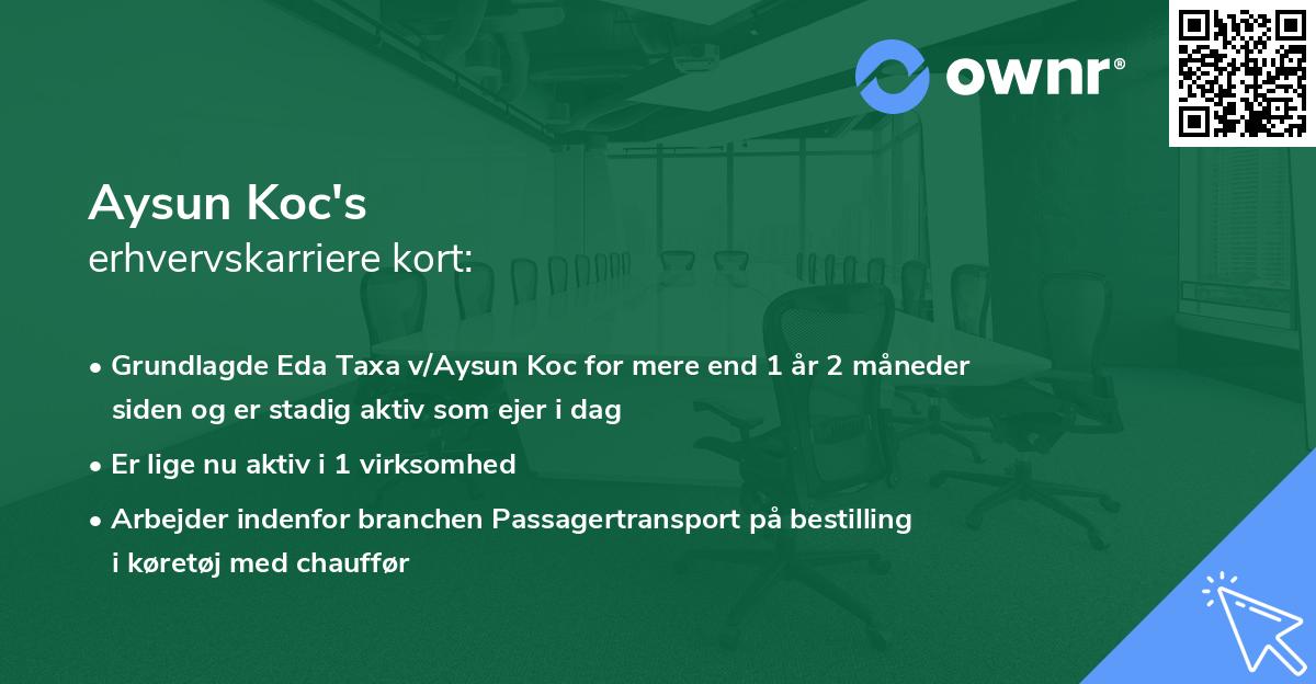 Aysun Koc's erhvervskarriere kort