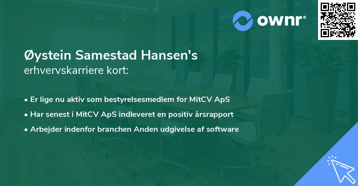 Øystein Samestad Hansen's erhvervskarriere kort