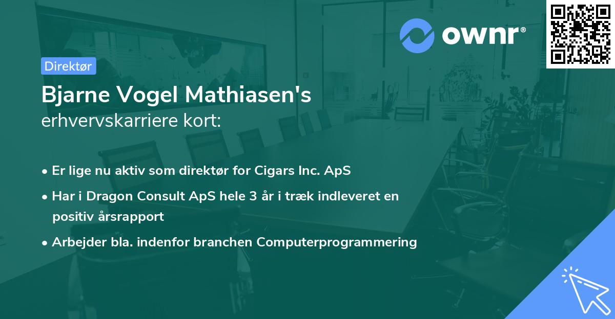 Bjarne Vogel Mathiasen's erhvervskarriere kort