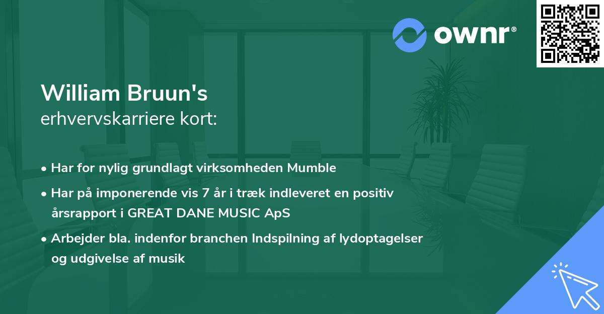 William Bruun's erhvervskarriere kort