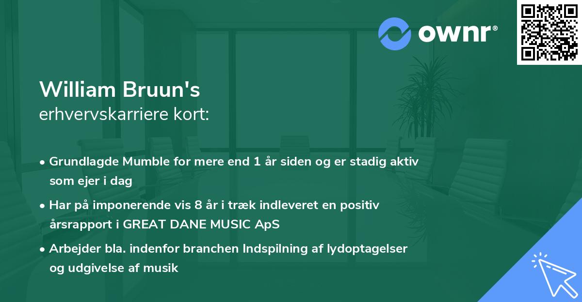 William Bruun's erhvervskarriere kort