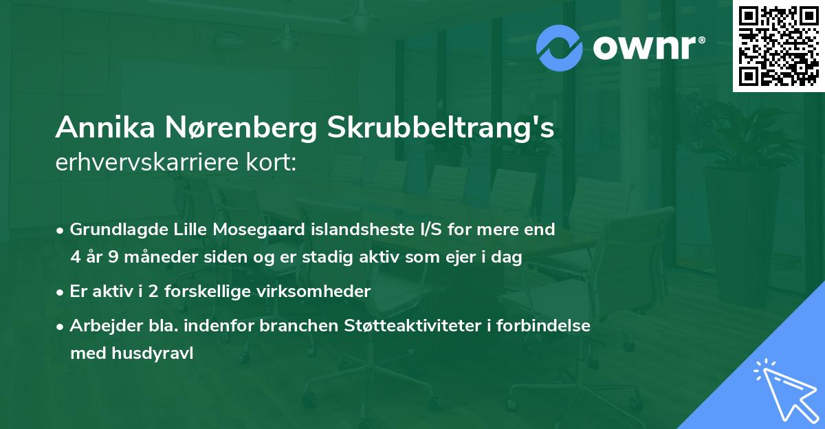 Annika Nørenberg Skrubbeltrang's erhvervskarriere kort