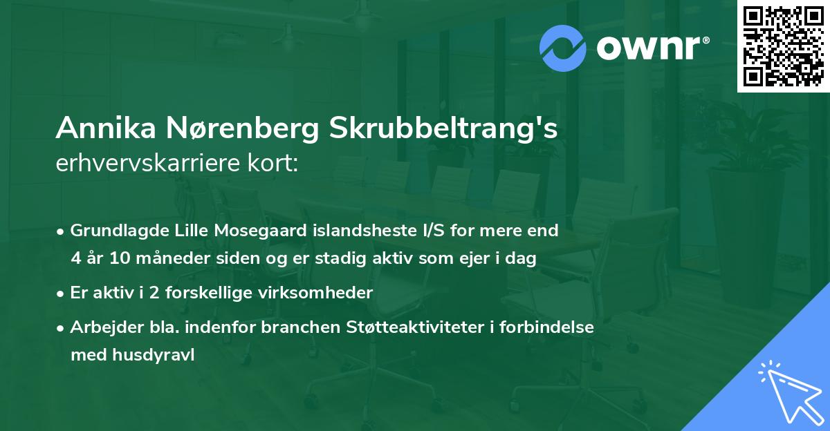 Annika Nørenberg Skrubbeltrang's erhvervskarriere kort