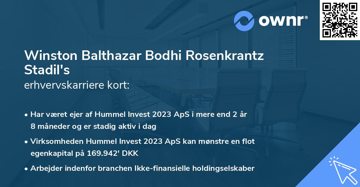 Winston Balthazar Bodhi Rosenkrantz Stadil's erhvervskarriere kort