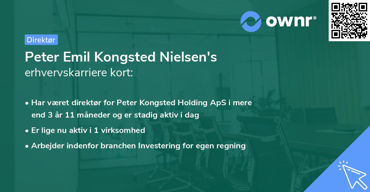 Peter Emil Kongsted Nielsen's erhvervskarriere kort