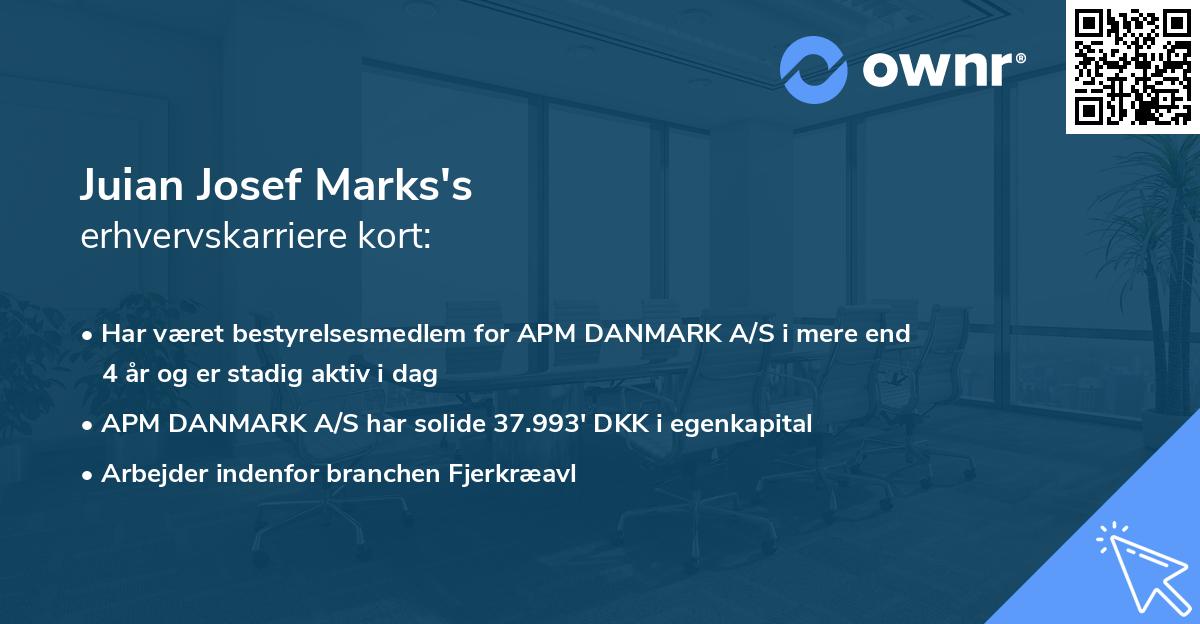 Juian Josef Marks's erhvervskarriere kort