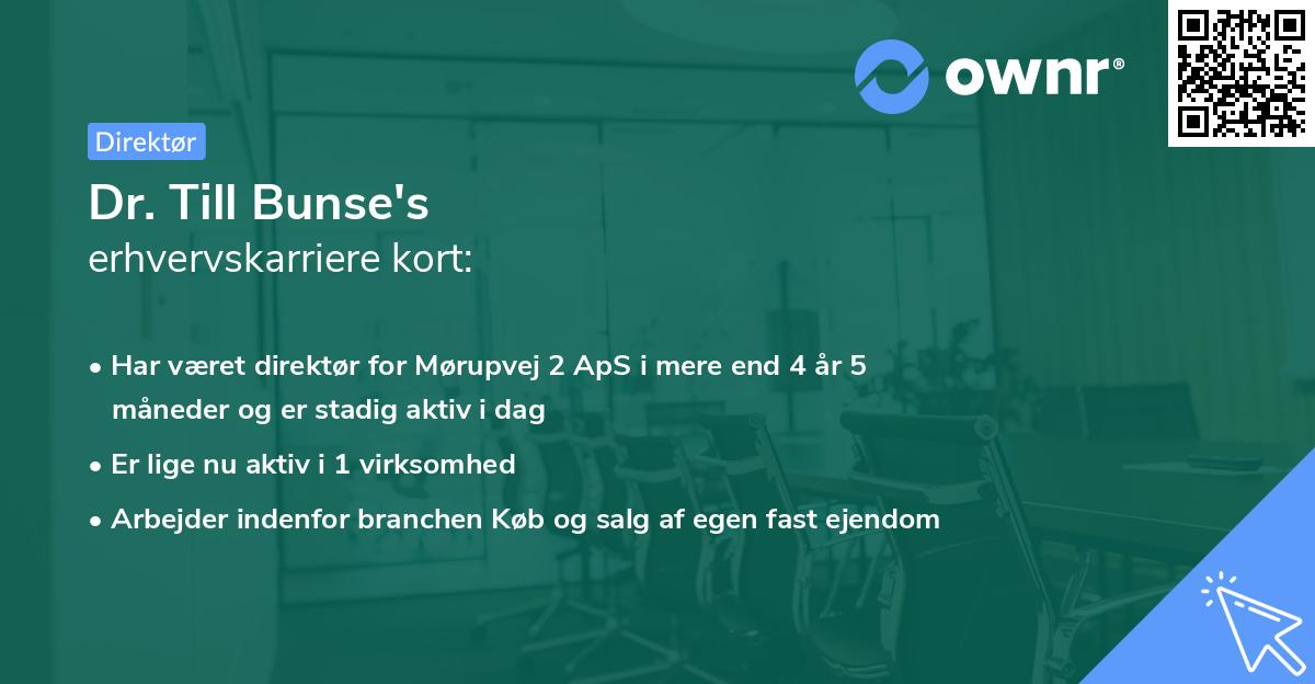 Dr. Till Bunse's erhvervskarriere kort