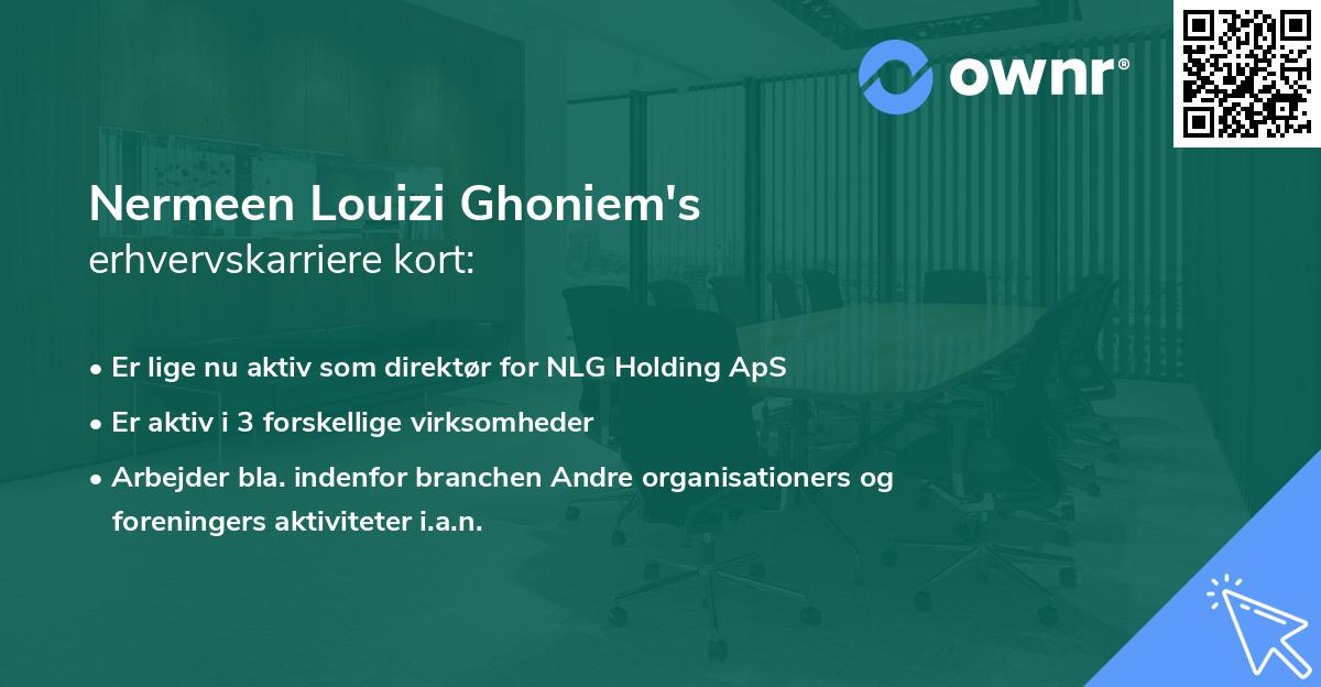 Nermeen Louizi Ghoniem's erhvervskarriere kort