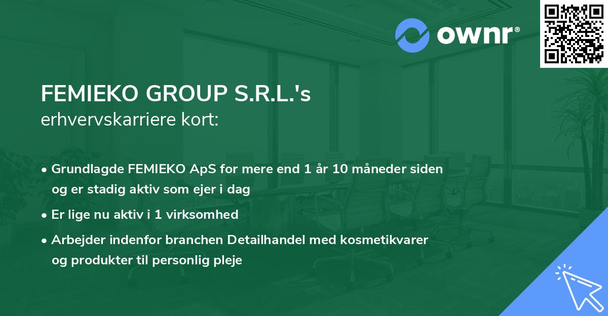 FEMIEKO GROUP S.R.L.'s erhvervskarriere kort