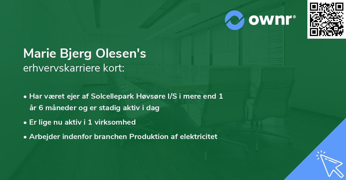 Marie Bjerg Olesen's erhvervskarriere kort