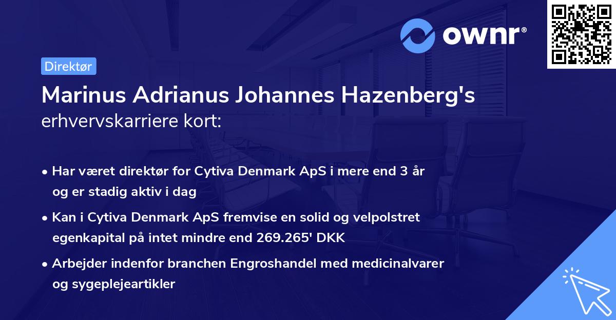 Marinus Adrianus Johannes Hazenberg's erhvervskarriere kort