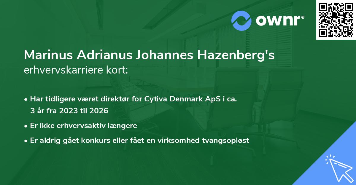 Marinus Adrianus Johannes Hazenberg's erhvervskarriere kort