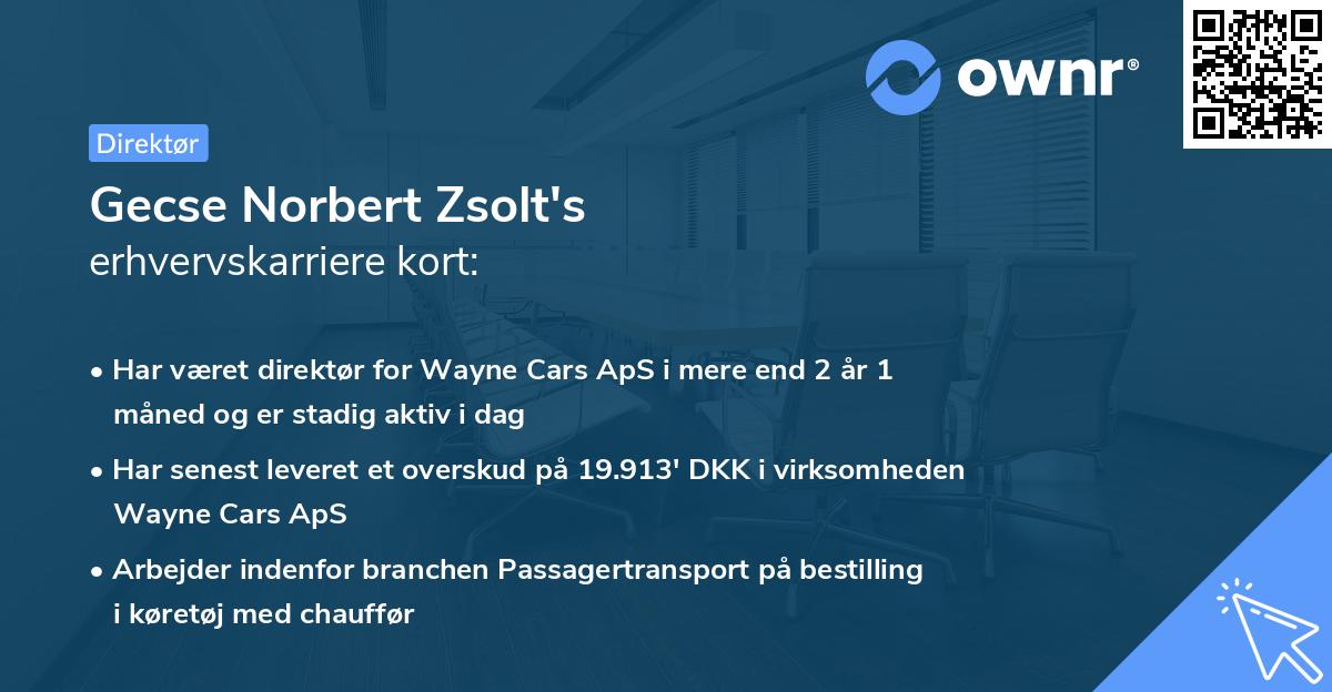 Gecse Norbert Zsolt's erhvervskarriere kort