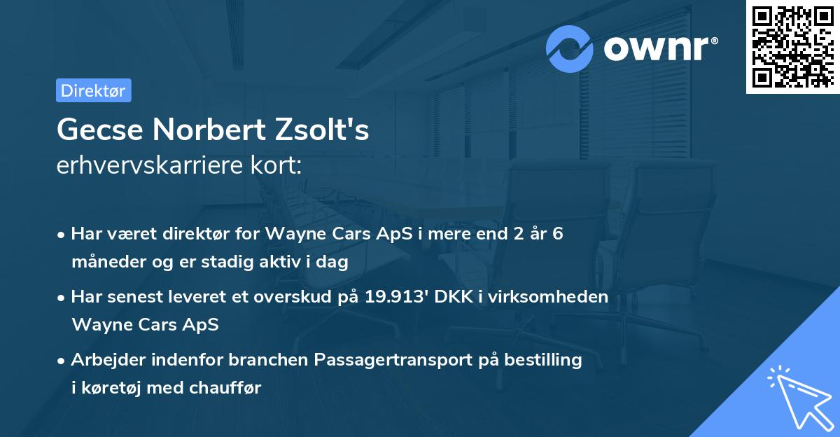 Gecse Norbert Zsolt's erhvervskarriere kort