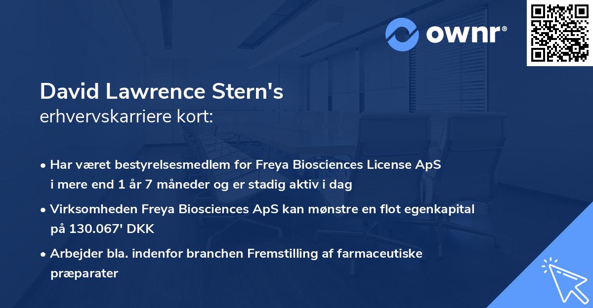 David Lawrence Stern's erhvervskarriere kort