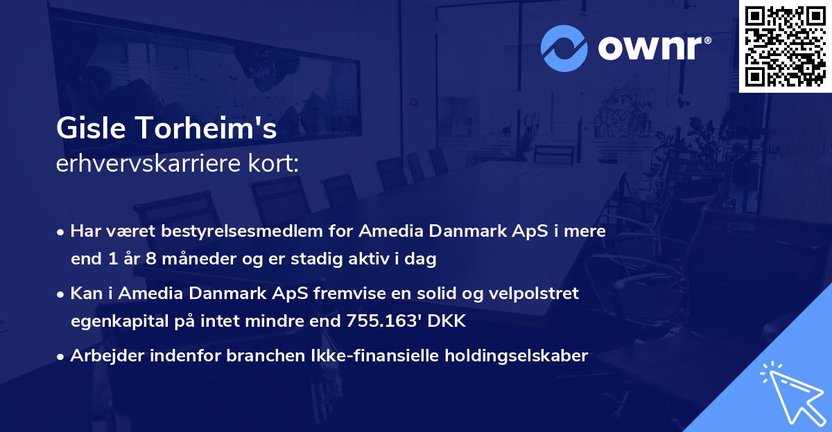 Gisle Torheim's erhvervskarriere kort