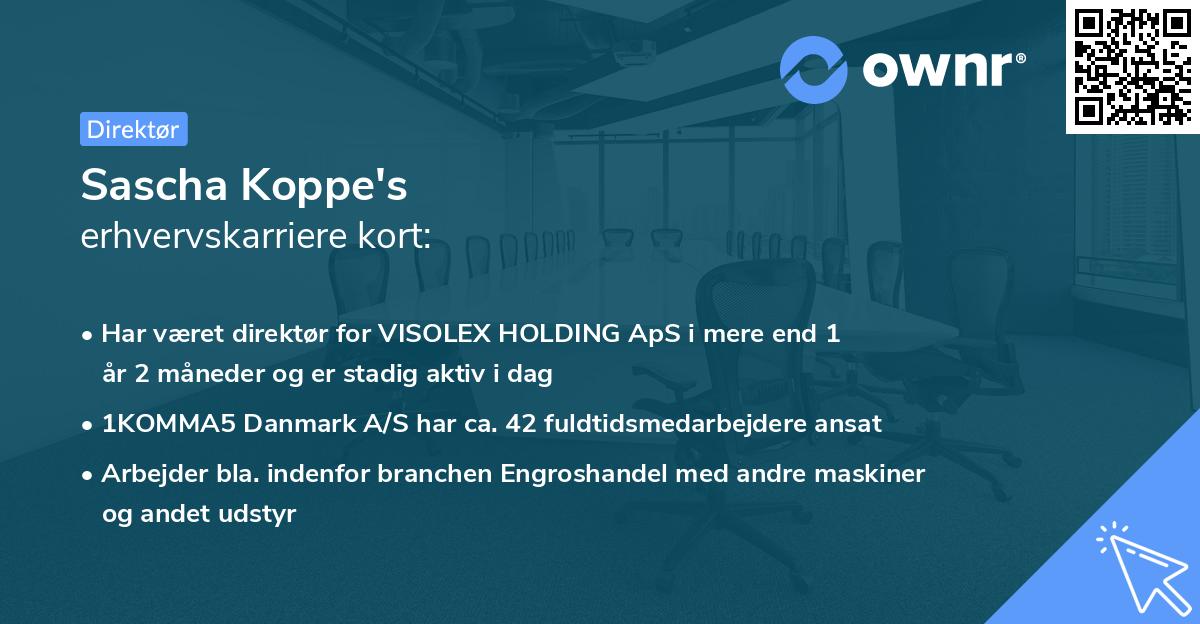 Sascha Koppe's erhvervskarriere kort