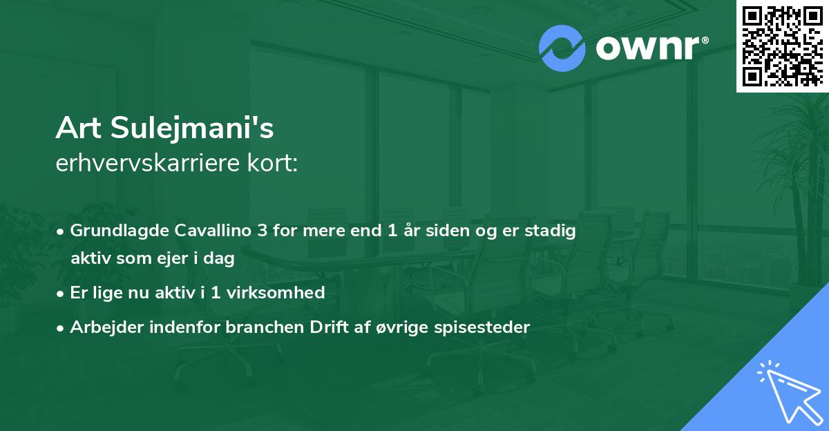 Art Sulejmani's erhvervskarriere kort