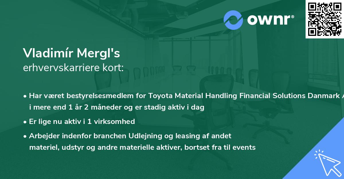 Vladimír Mergl's erhvervskarriere kort
