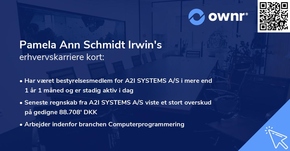 Pamela Ann Schmidt Irwin's erhvervskarriere kort