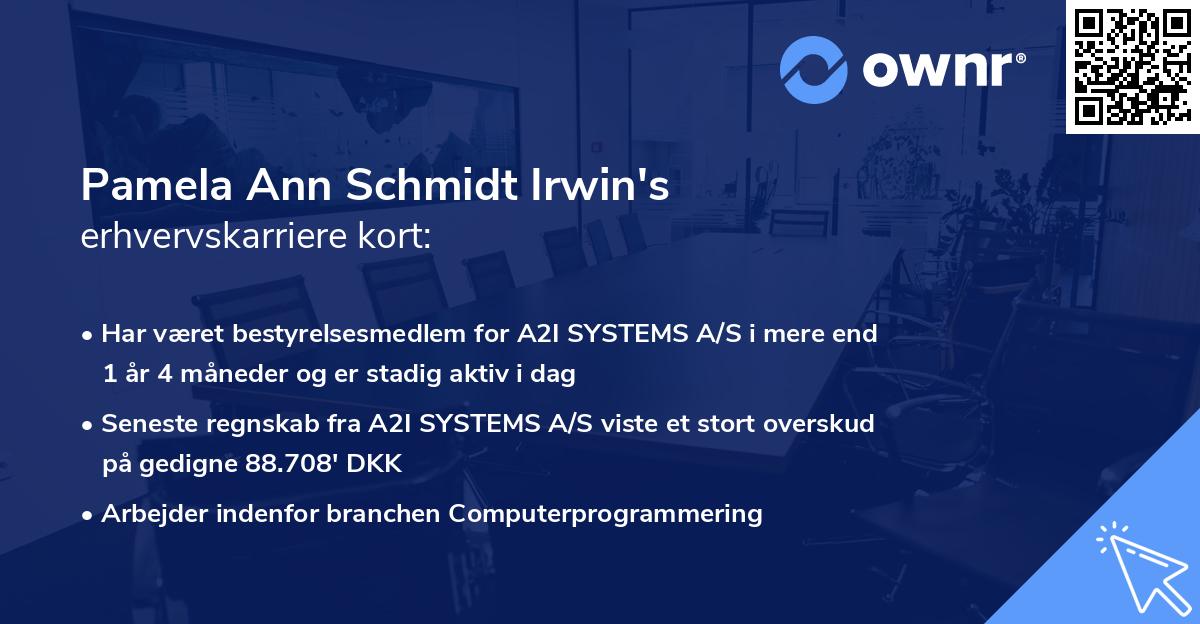 Pamela Ann Schmidt Irwin's erhvervskarriere kort