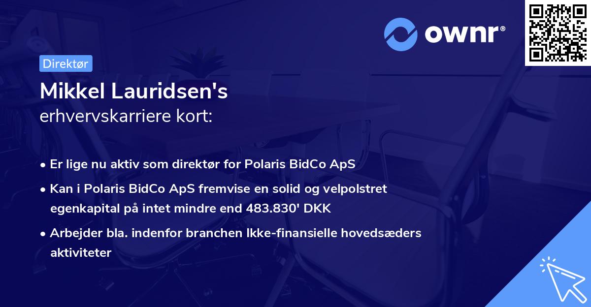 Mikkel Lauridsen's erhvervskarriere kort