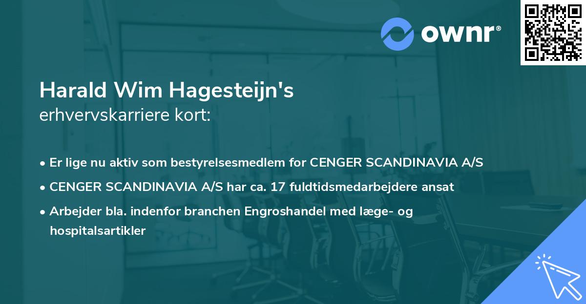 Harald Wim Hagesteijn's erhvervskarriere kort