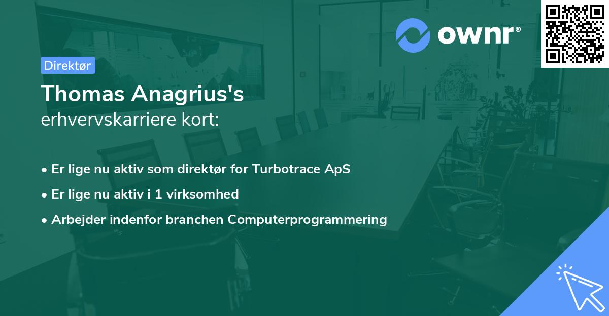 Thomas Anagrius's erhvervskarriere kort