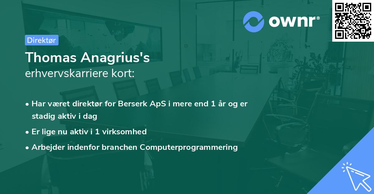 Thomas Anagrius's erhvervskarriere kort