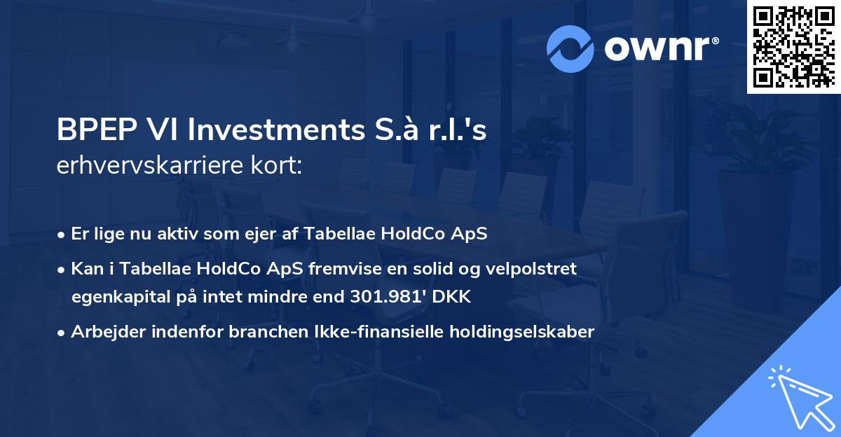BPEP VI Investments S.à r.l.'s erhvervskarriere kort