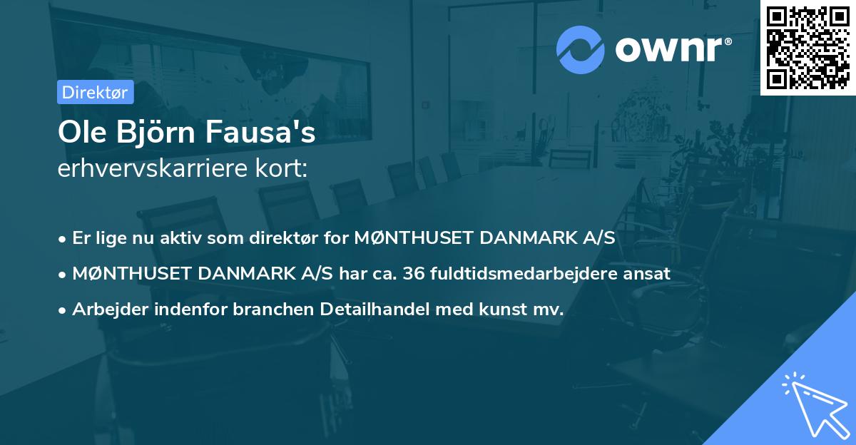 Ole Björn Fausa's erhvervskarriere kort
