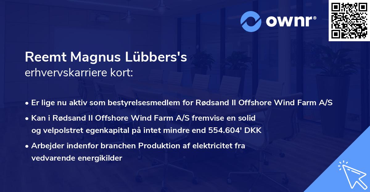 Reemt Magnus Lübbers's erhvervskarriere kort