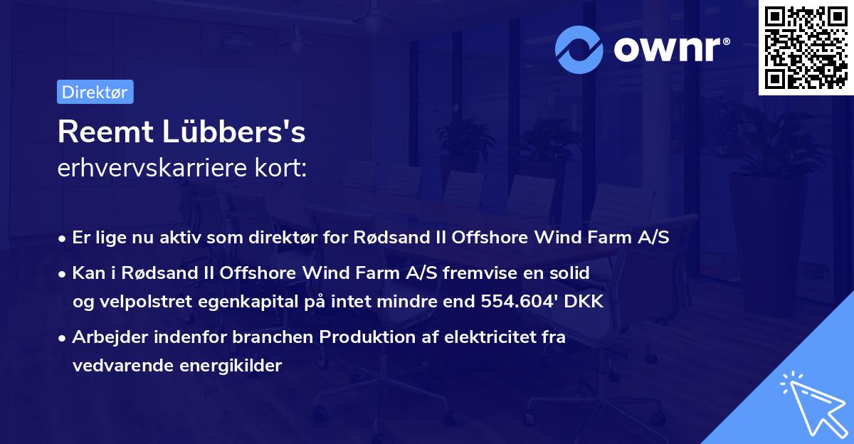Reemt Lübbers's erhvervskarriere kort