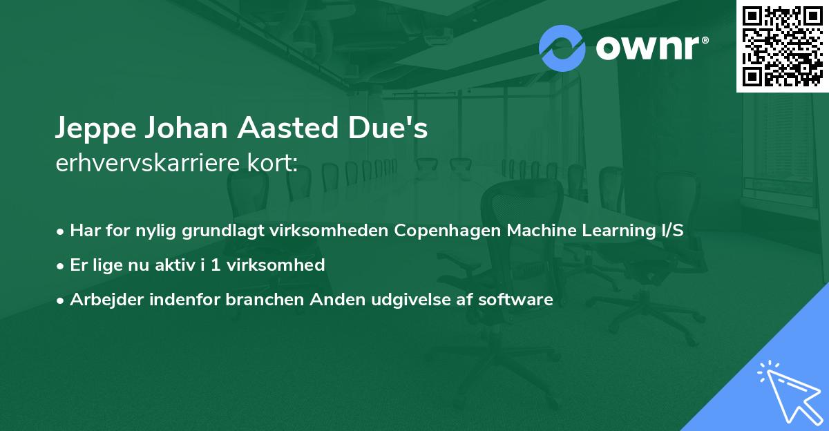 Jeppe Johan Aasted Due's erhvervskarriere kort